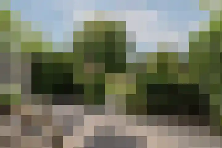 Van Pallandtvliet 20 Barendrecht thumbnail 34