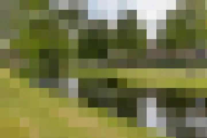 Van Pallandtvliet 20 Barendrecht thumbnail 36