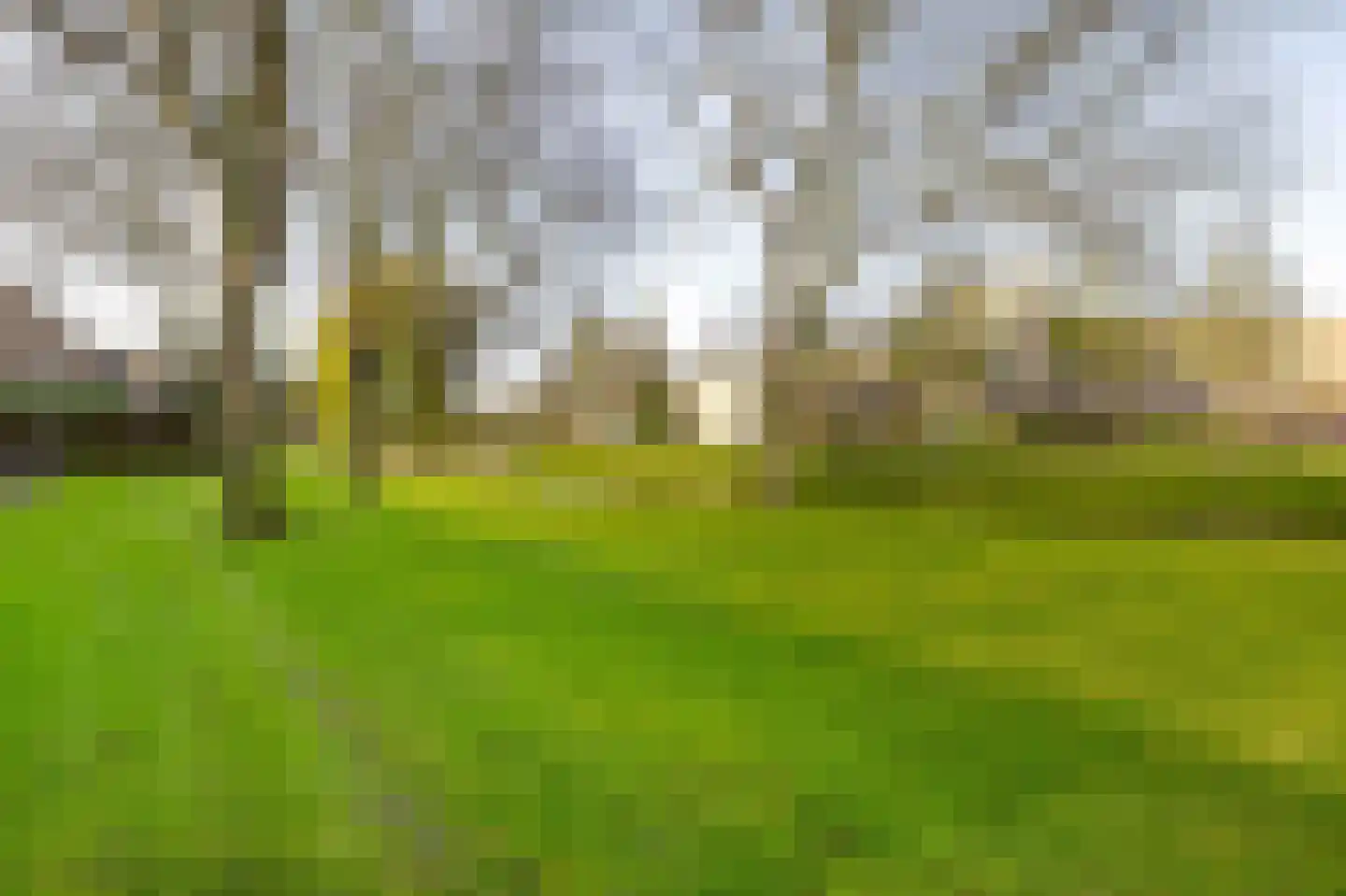 Van Pallandtvliet 21 Barendrecht thumbnail 38