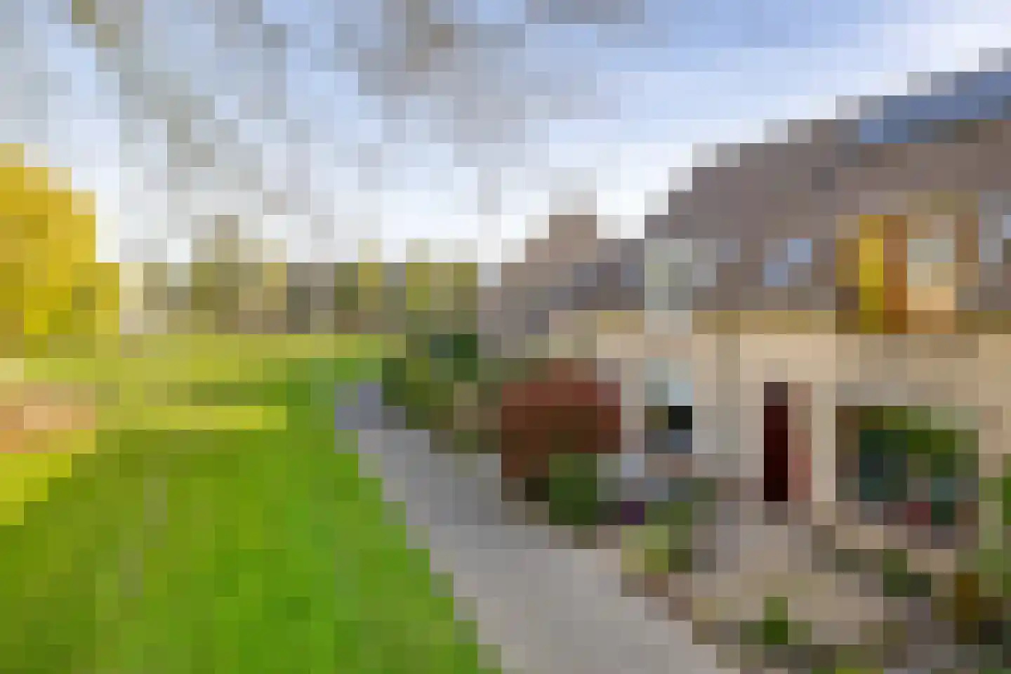 Van Pallandtvliet 21 Barendrecht thumbnail 9