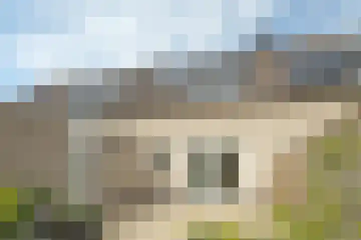 Van Pallandtvliet 25 Barendrecht thumbnail 29