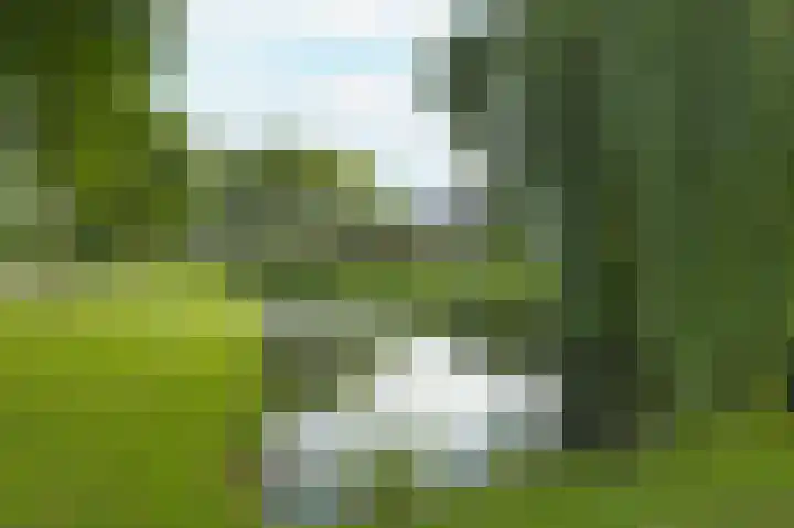 Van Pallandtvliet 25 Barendrecht thumbnail 31