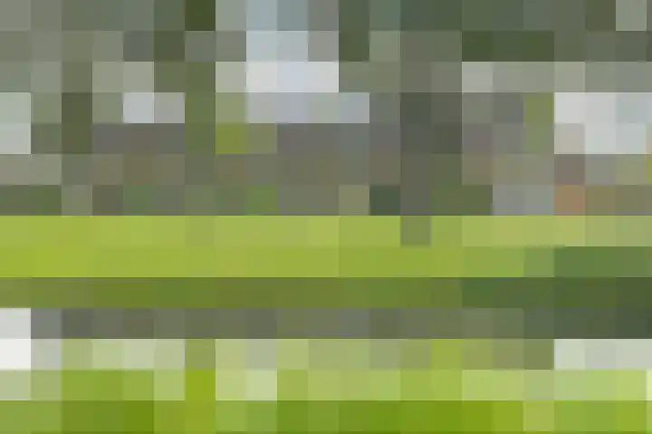 Van Pallandtvliet 25 Barendrecht thumbnail 33