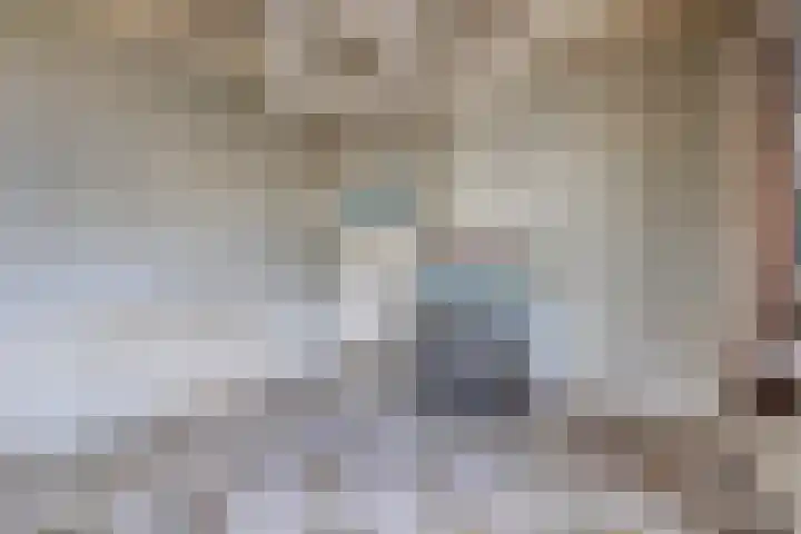 van Pallandtweg 18 Neerijnen thumbnail 13