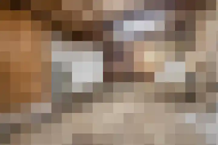 van Pallandtweg 18 Neerijnen thumbnail 17