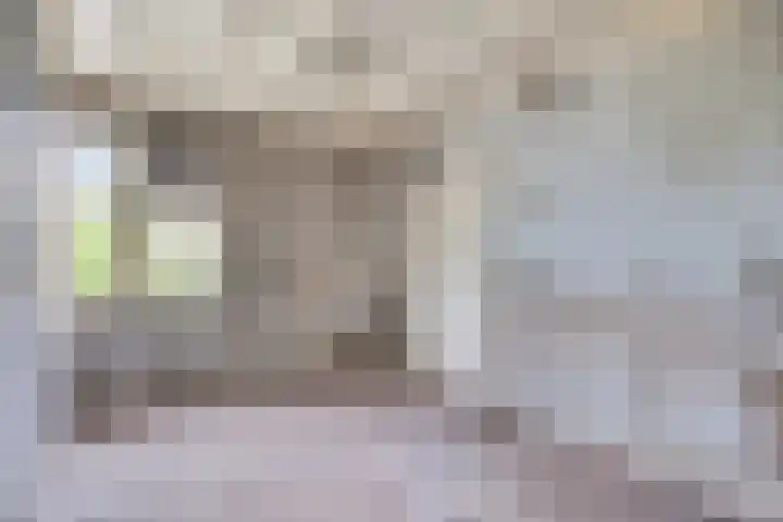 van Pallandtweg 18 Neerijnen thumbnail 21