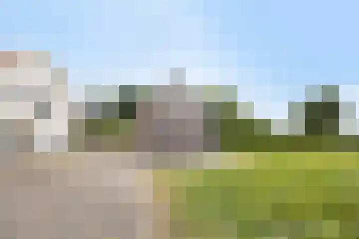 van Pallandtweg 18 Neerijnen thumbnail 29