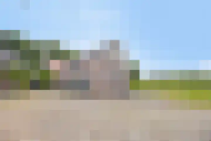 van Pallandtweg 18 Neerijnen thumbnail 30