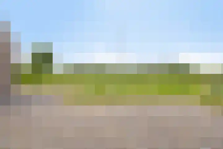 van Pallandtweg 18 Neerijnen thumbnail 31