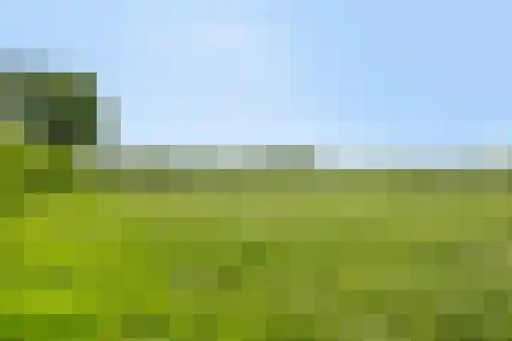 van Pallandtweg 18 Neerijnen thumbnail 32