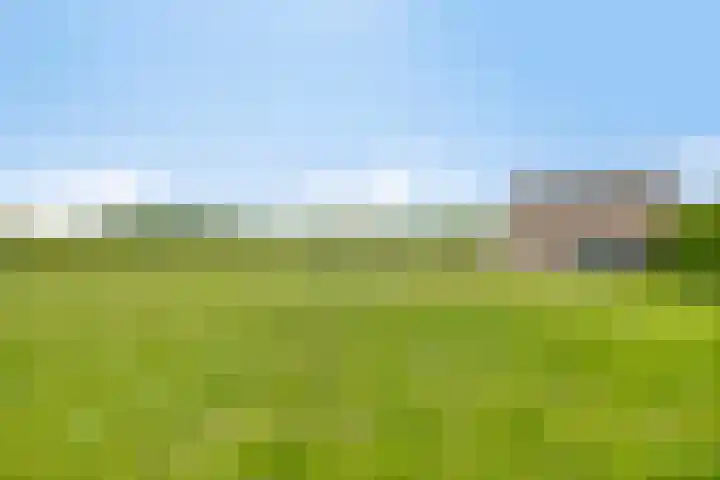 van Pallandtweg 18 Neerijnen thumbnail 33