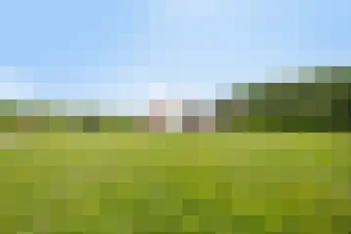 van Pallandtweg 18 Neerijnen thumbnail 34