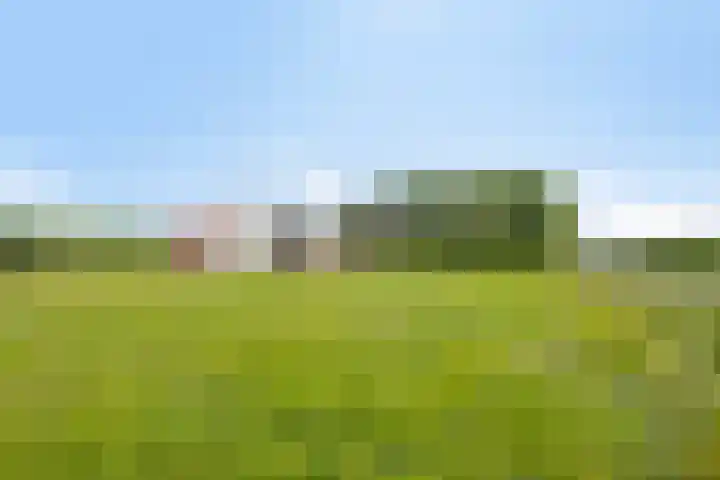 van Pallandtweg 18 Neerijnen thumbnail 35