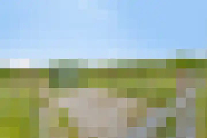 van Pallandtweg 18 Neerijnen thumbnail 36