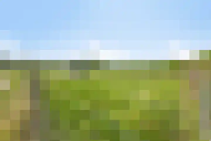 van Pallandtweg 18 Neerijnen thumbnail 37