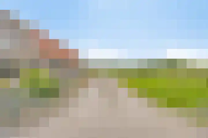 van Pallandtweg 18 Neerijnen thumbnail 38