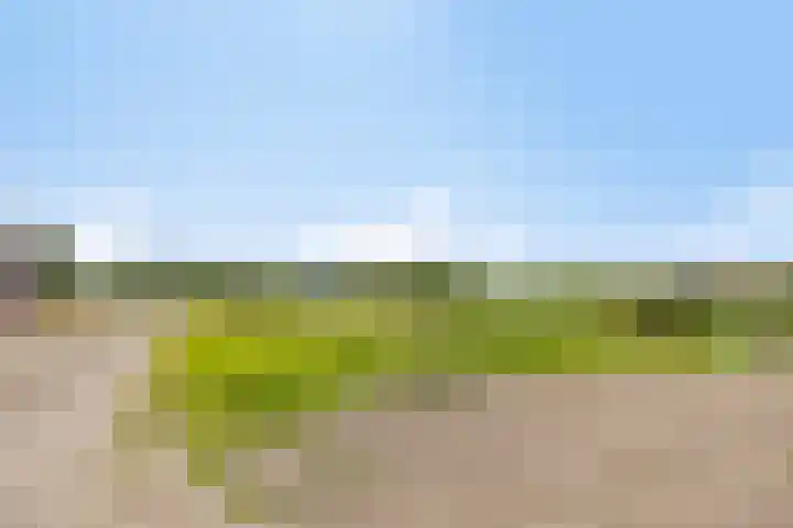 van Pallandtweg 18 Neerijnen thumbnail 39