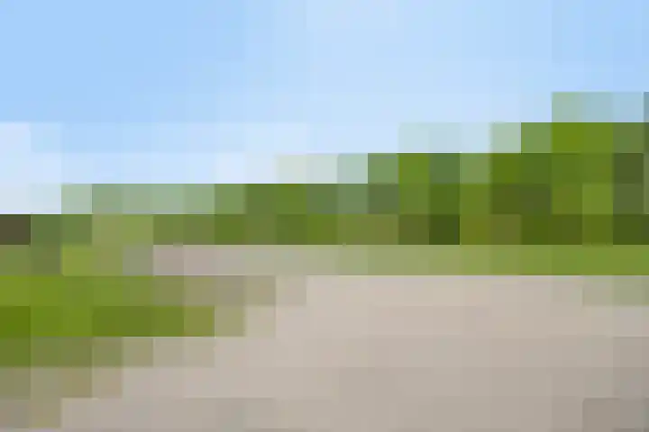 van Pallandtweg 18 Neerijnen thumbnail 40