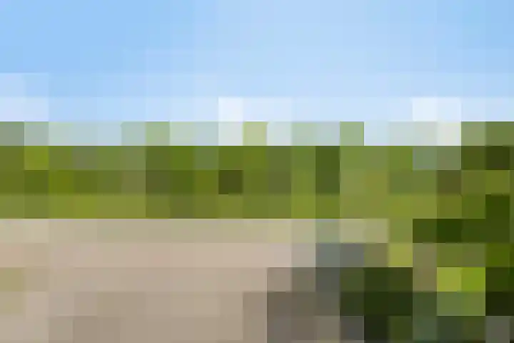 van Pallandtweg 18 Neerijnen thumbnail 41