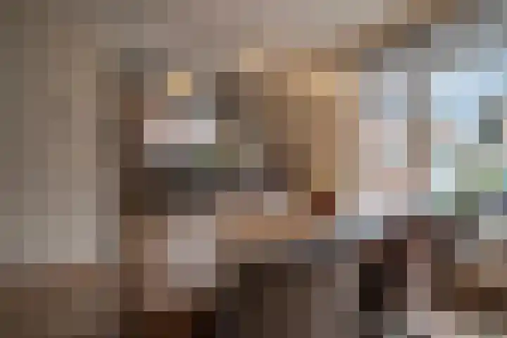 Van Pallantstraat 31 Haelen thumbnail 18
