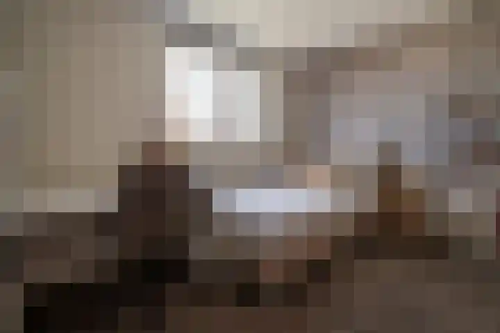 Van Pallantstraat 31 Haelen thumbnail 28