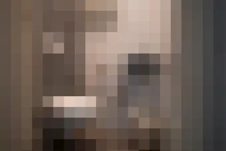 Van Pallantstraat 31 Haelen thumbnail 9
