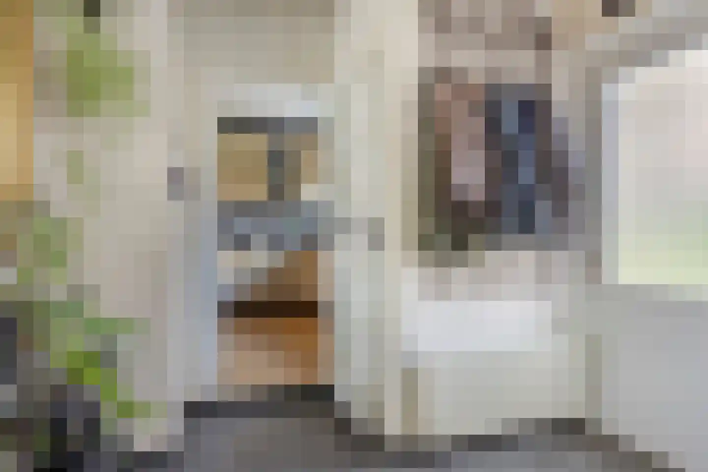 Van Panhuyslaan 42 Leek thumbnail 11