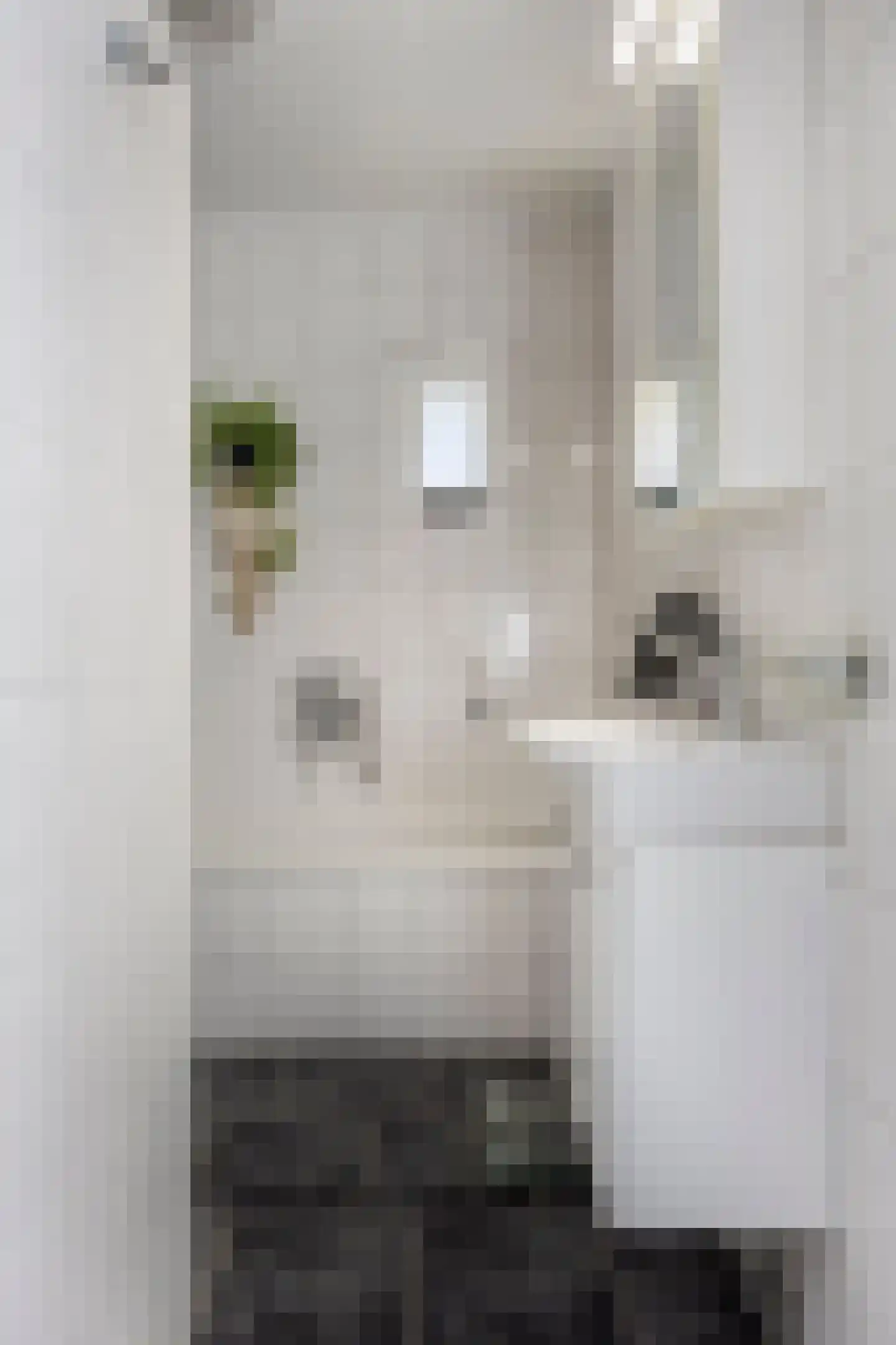 Van Panhuyslaan 42 Leek thumbnail 14