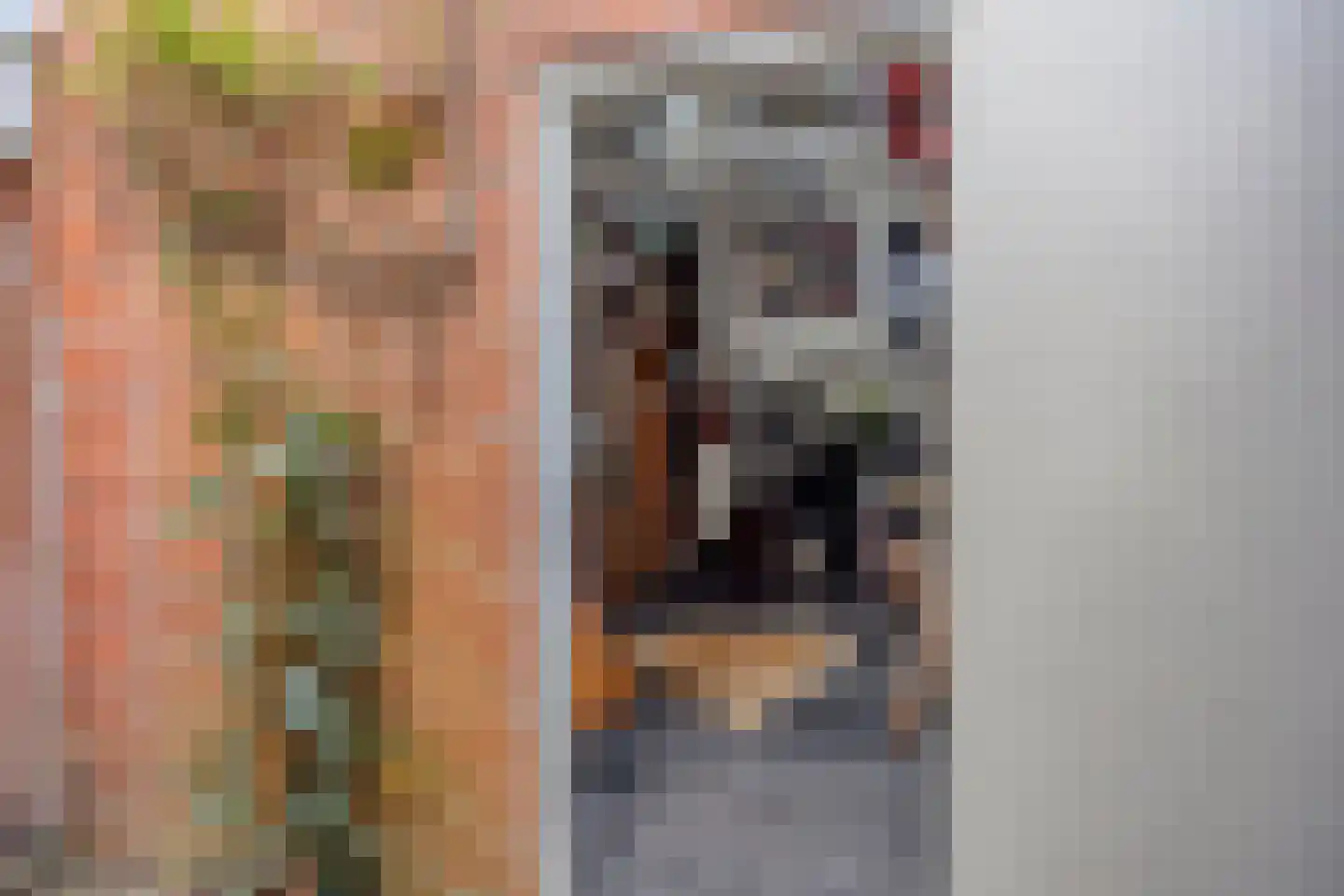 Van Panhuyslaan 42 Leek thumbnail 22