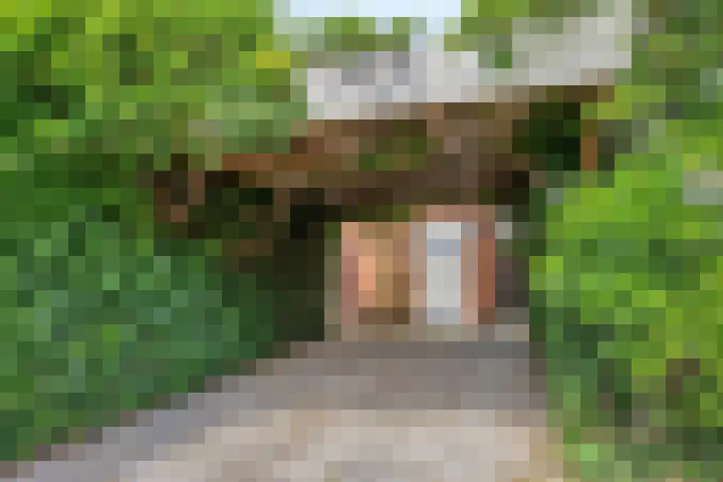 Van Panhuyslaan 42 Leek thumbnail 23