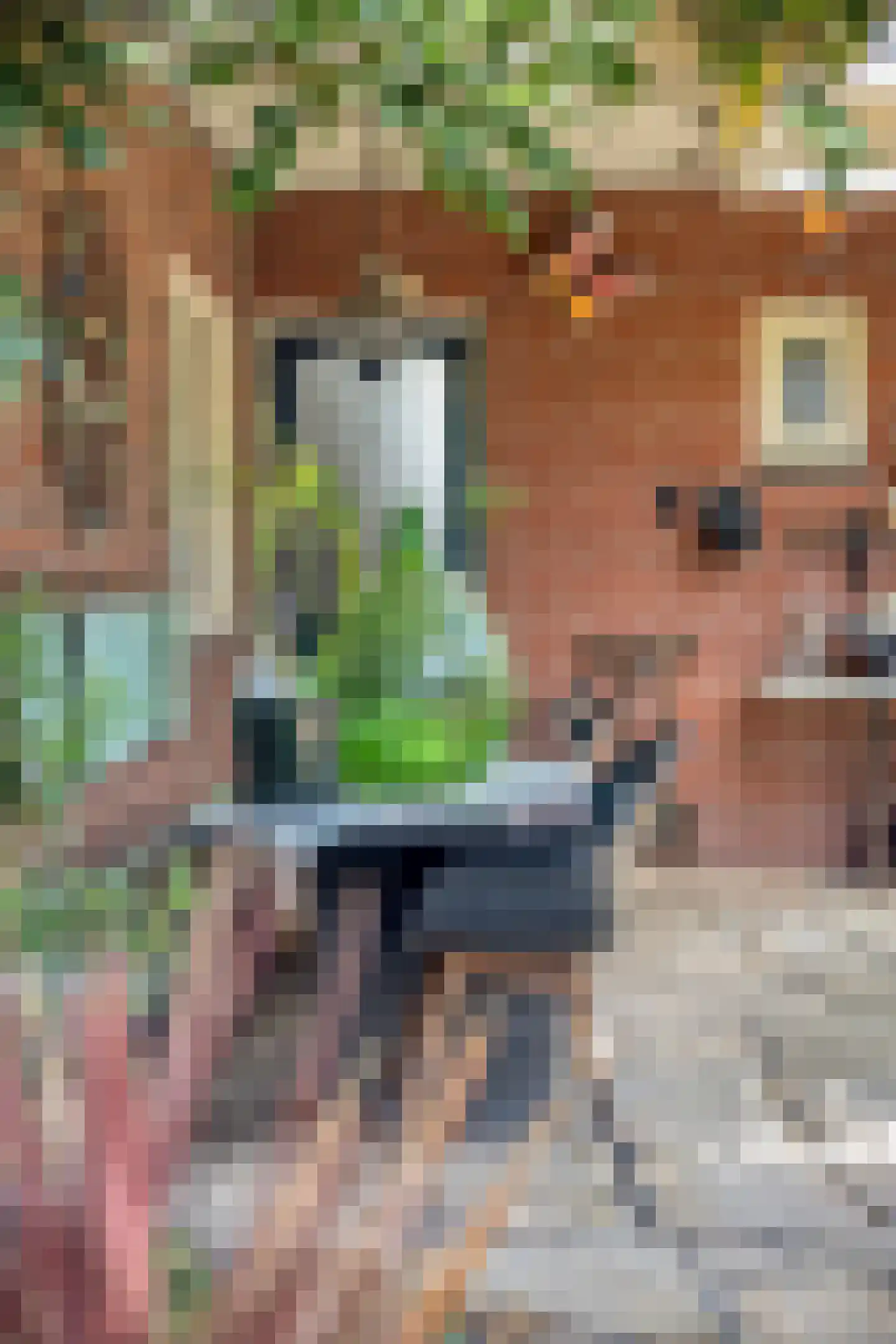 Van Panhuyslaan 42 Leek thumbnail 34