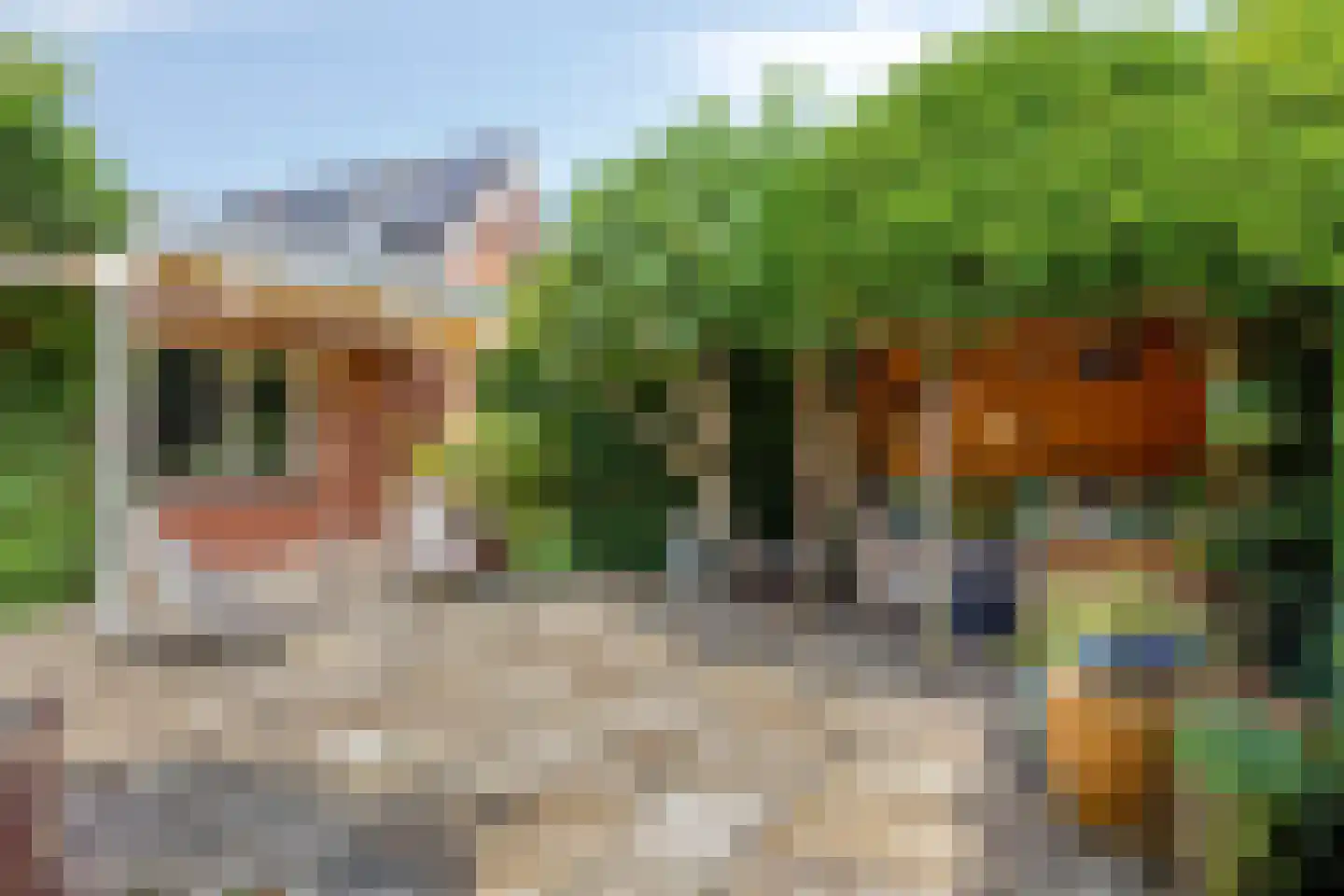 Van Panhuyslaan 42 Leek thumbnail 35