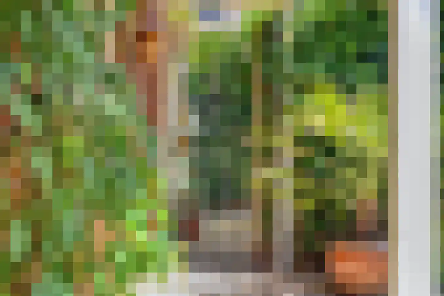 Van Panhuyslaan 42 Leek thumbnail 36