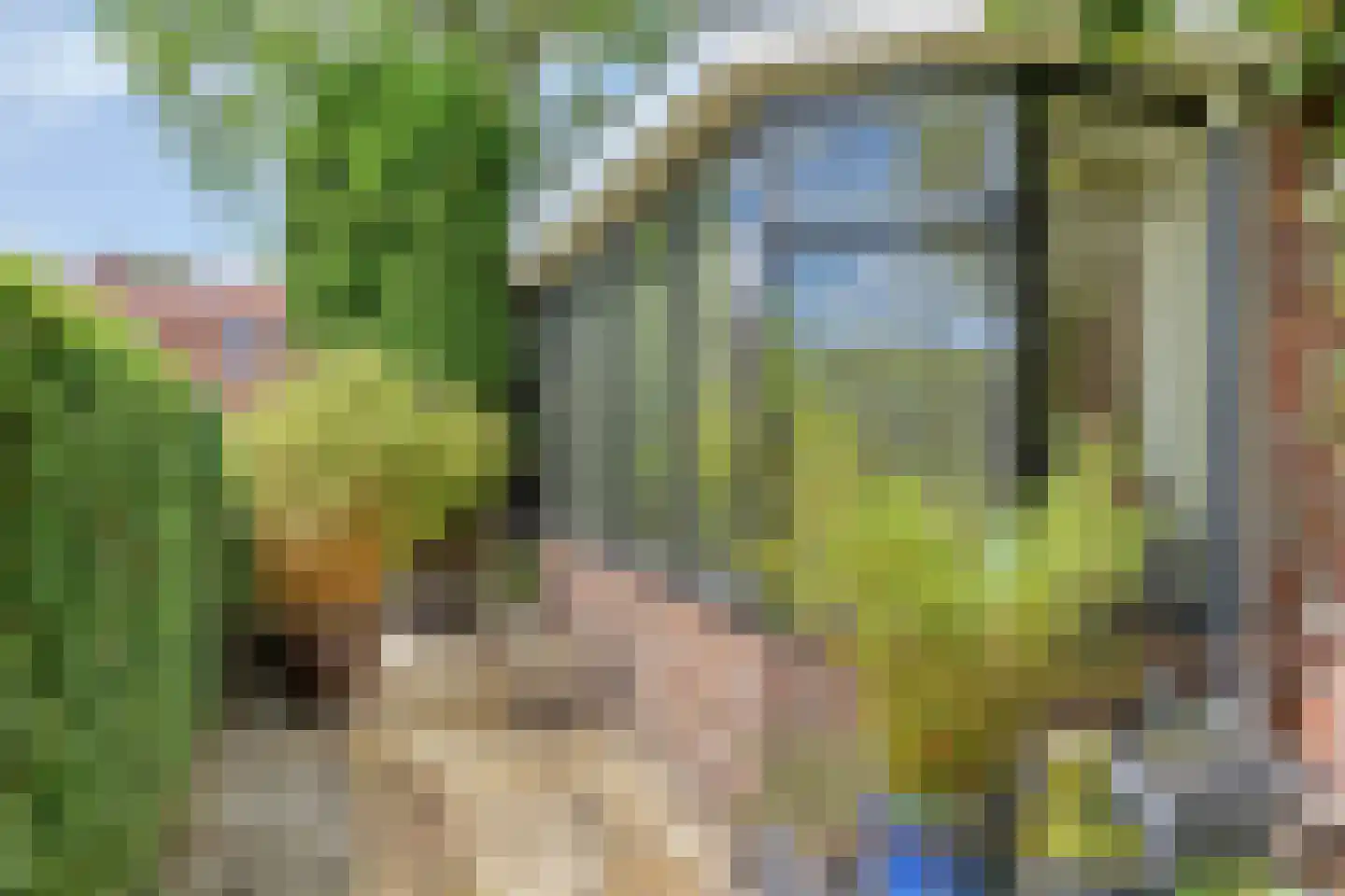 Van Panhuyslaan 42 Leek thumbnail 38