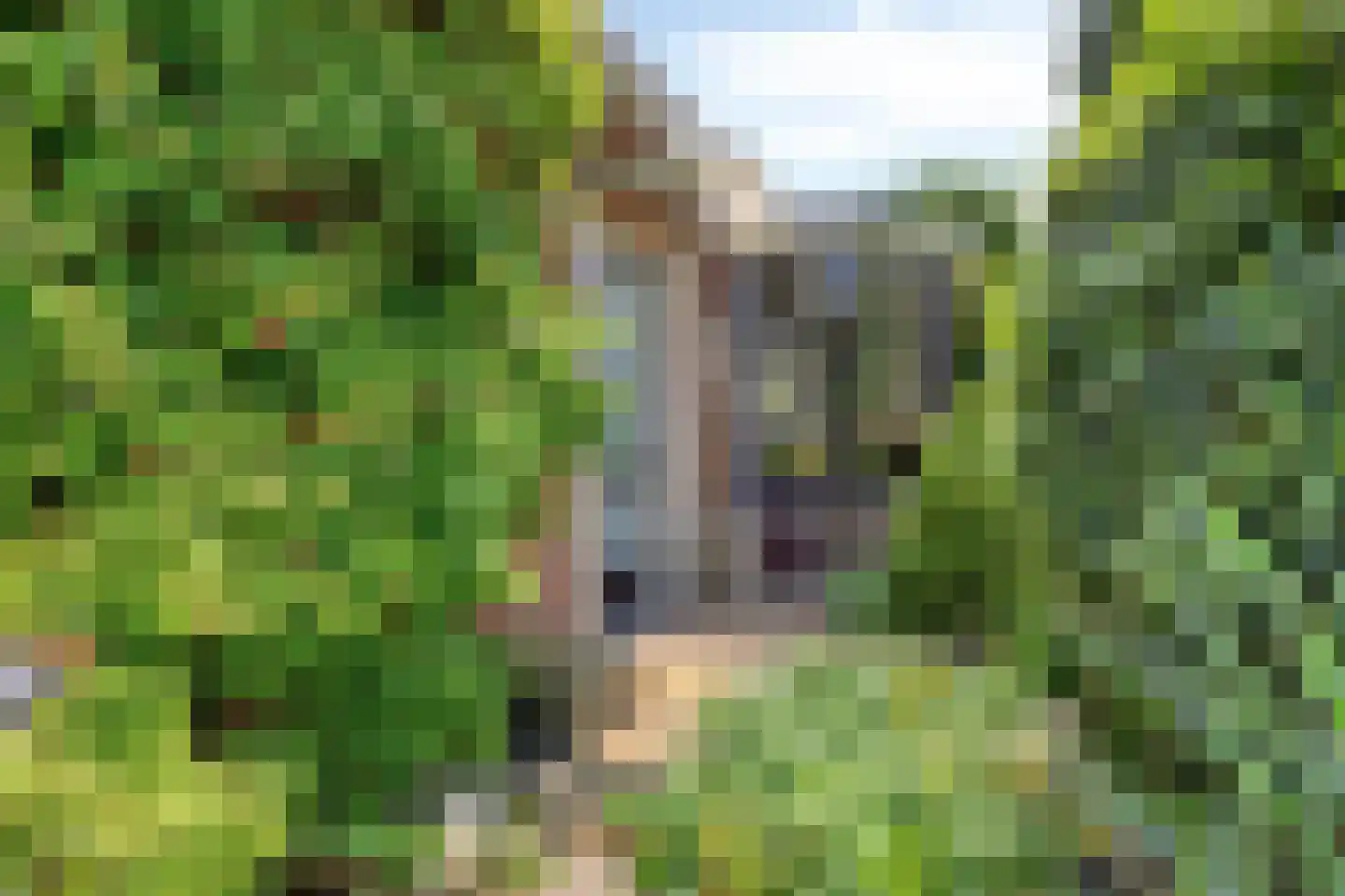 Van Panhuyslaan 42 Leek thumbnail 41
