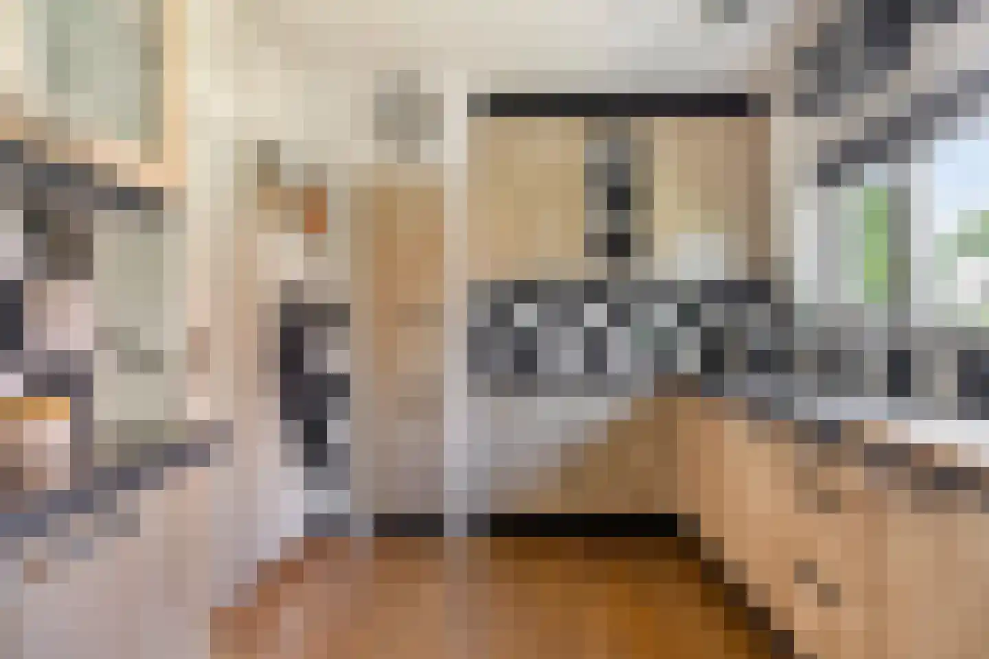 Van Panhuyslaan 42 Leek thumbnail 5
