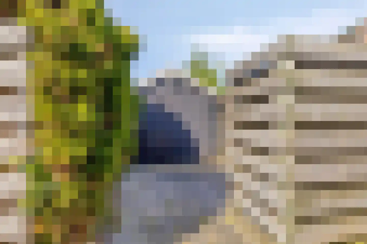Van Panhuyslaan 71 Leek thumbnail 15