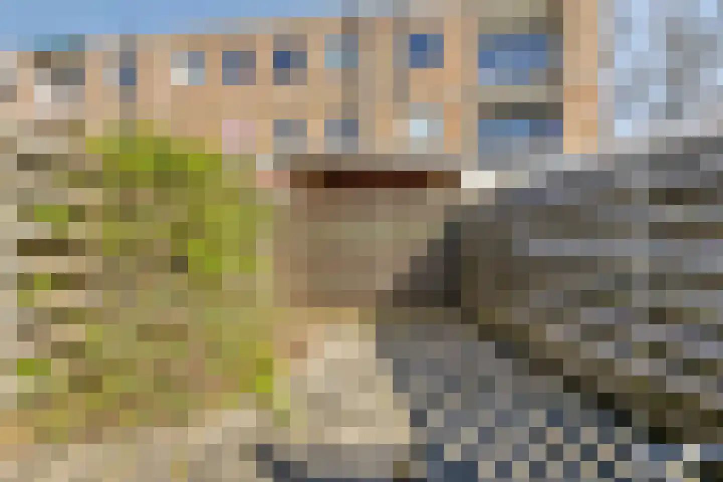Van Panhuyslaan 71 Leek thumbnail 18