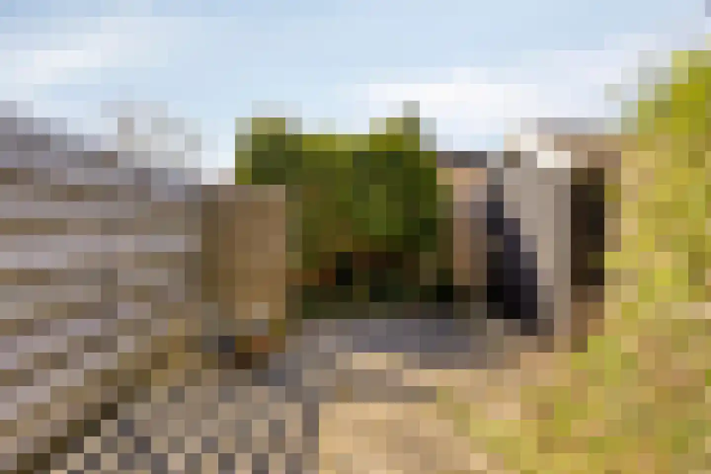 Van Panhuyslaan 71 Leek thumbnail 19