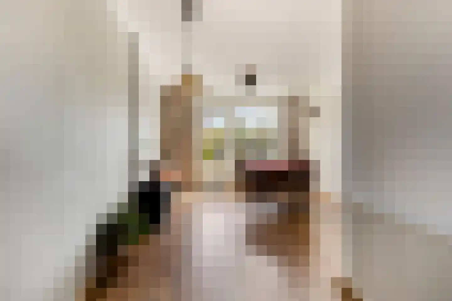 Van Panhuyslaan 71 Leek thumbnail 5
