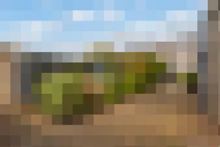 Van Panhuyslaan 75 Leek thumbnail 15