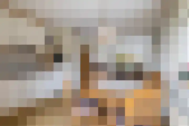Van Panhuyslaan 75 Leek thumbnail 25