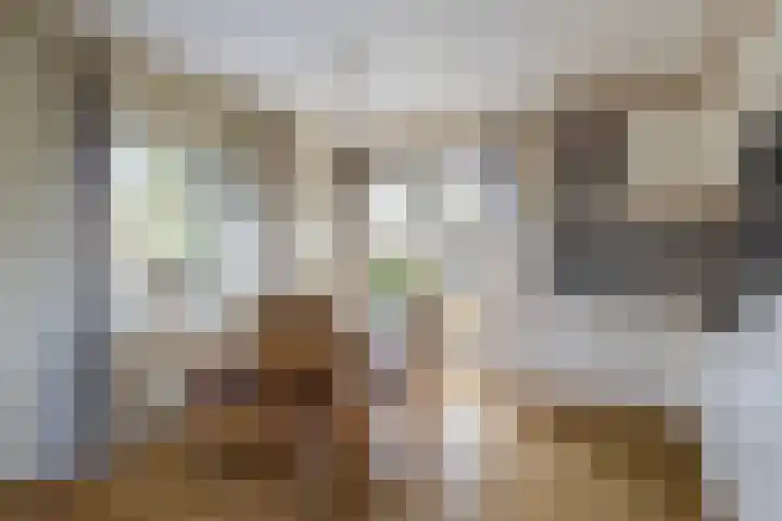 Van Panhuyslaan 75 Leek thumbnail 26