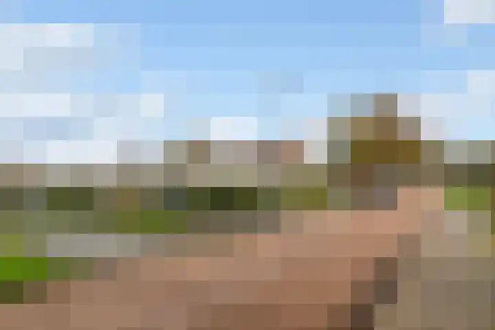 Van Panhuyslaan 75 Leek thumbnail 37