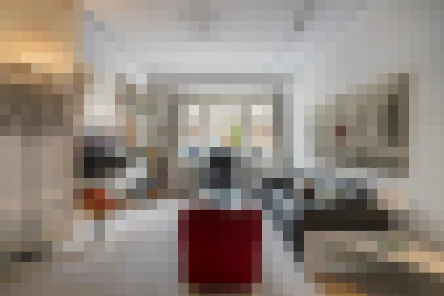 Van Panhuysstraat 10 Den Haag thumbnail 12