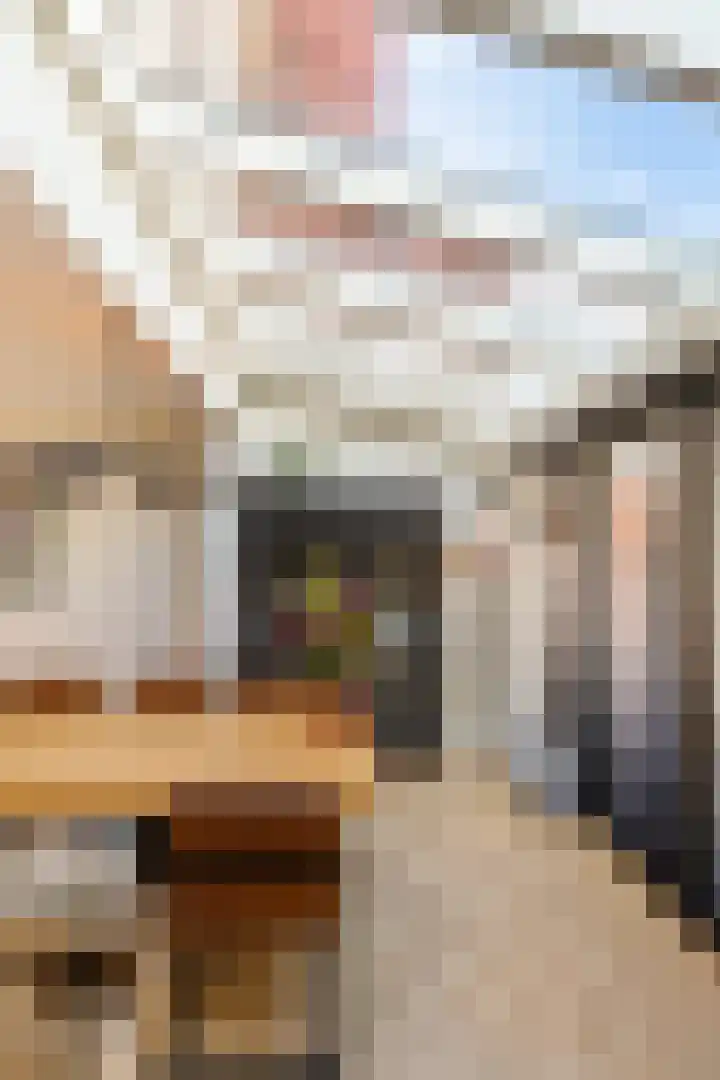 Van Panhuysstraat 11 Groningen thumbnail 15