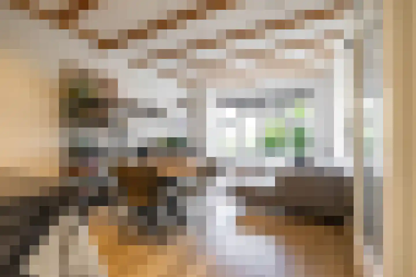 Van Panhuysstraat 15 a Groningen thumbnail 17