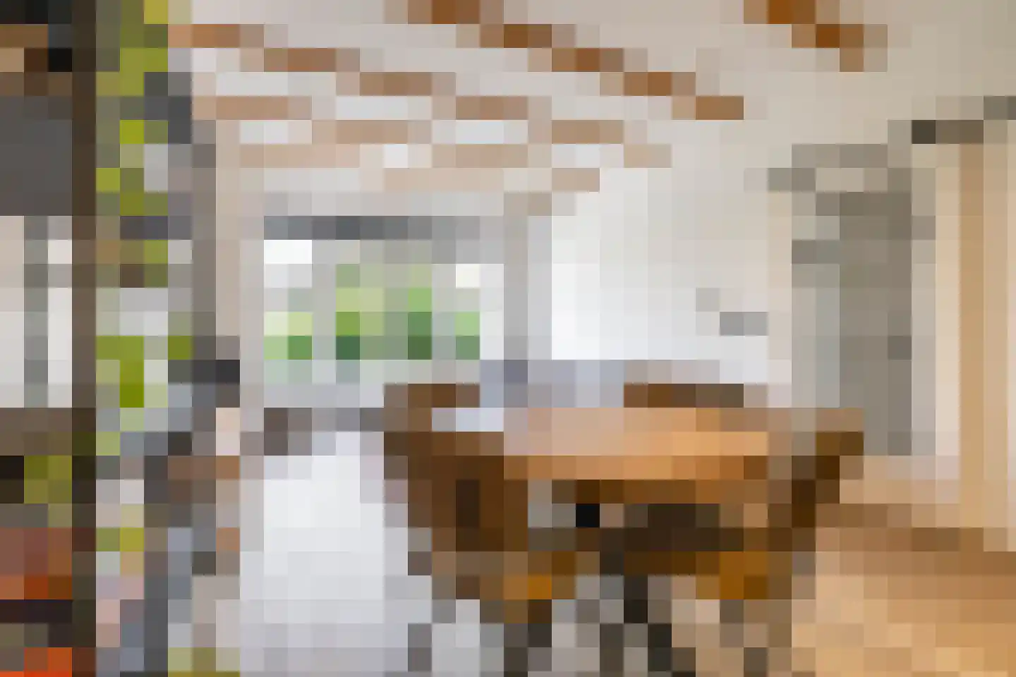 Van Panhuysstraat 15 a Groningen thumbnail 18