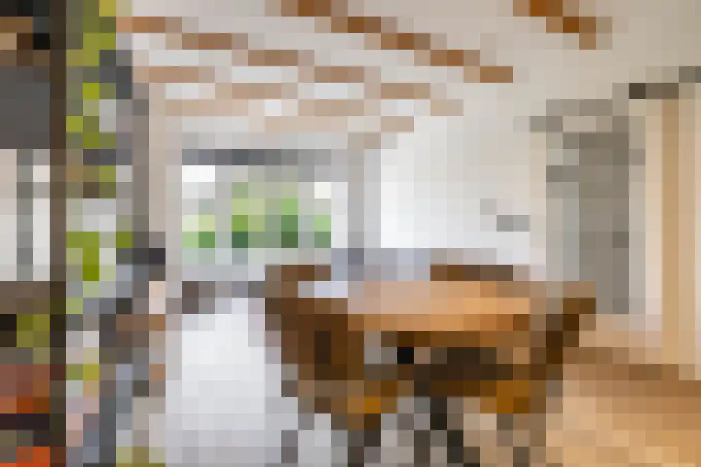 Van Panhuysstraat 15 a Groningen thumbnail 18