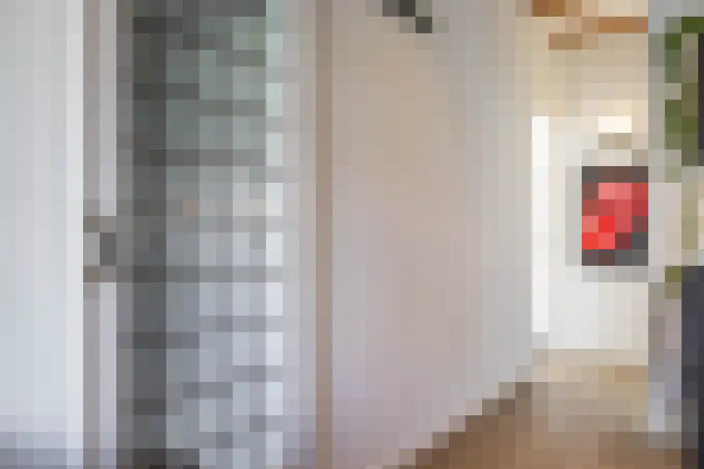 Van Panhuysstraat 15 a Groningen thumbnail 32